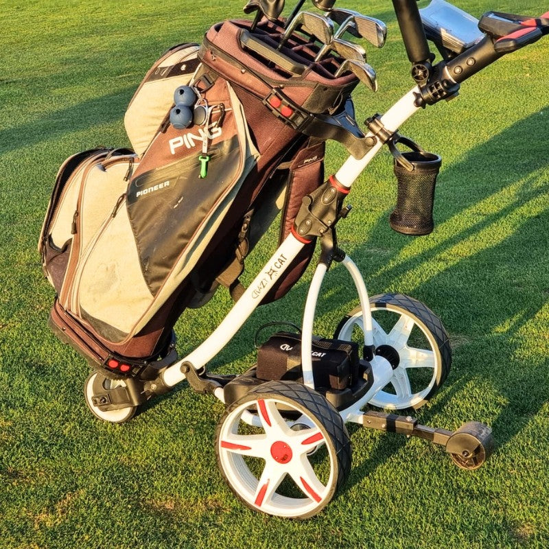 Carro Eléctrico para GOLF BOSTON 12V/ 36A CRAZY CAT con batería de acido y control remoto