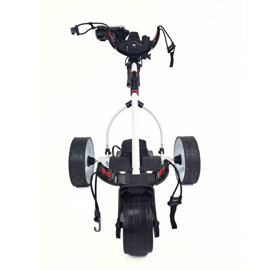 Carro Eléctrico para GOLF BOSTON 12V/ 36A CRAZY CAT con batería de acido y control remoto