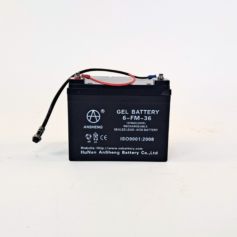 Carro Eléctrico para GOLF BOSTON 12V/ 36A CRAZY CAT con batería de acido y control remoto